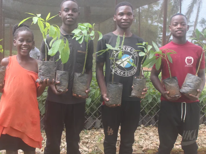 Fruit tree propagation for sustainable income amongst school-going youths in Uganda.