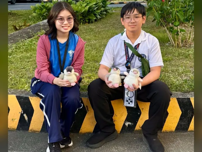 Penchick Online Math Olympiad