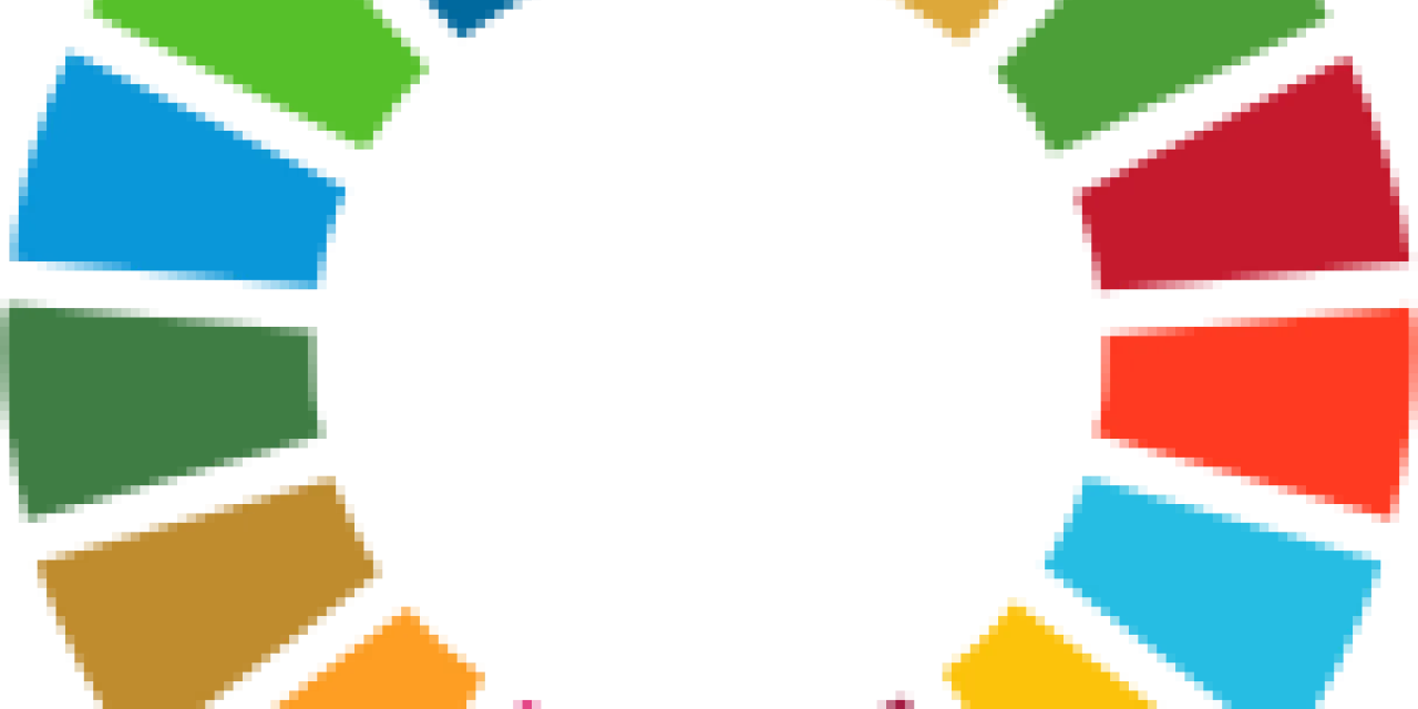sdg series 2026 icon1