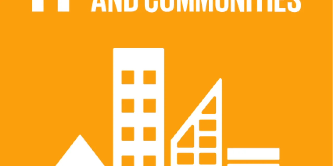 SDG 11
