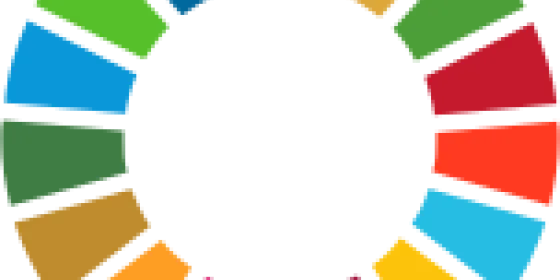 sdg series 2026 icon1