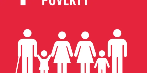 SDG 1
