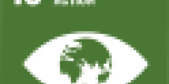 SDG 13
