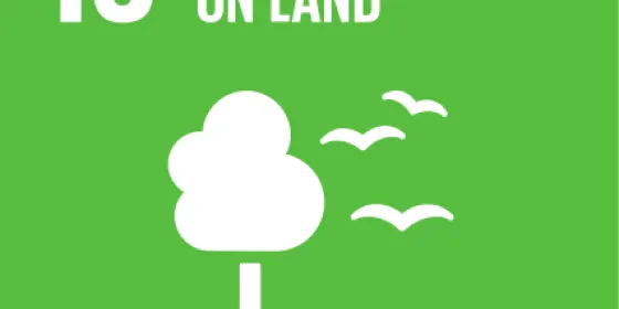 SDG 15
