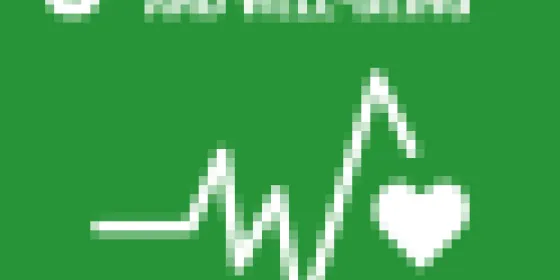 SDG 3