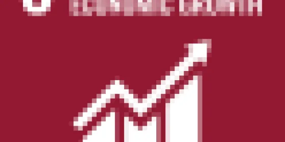 SDG 8
