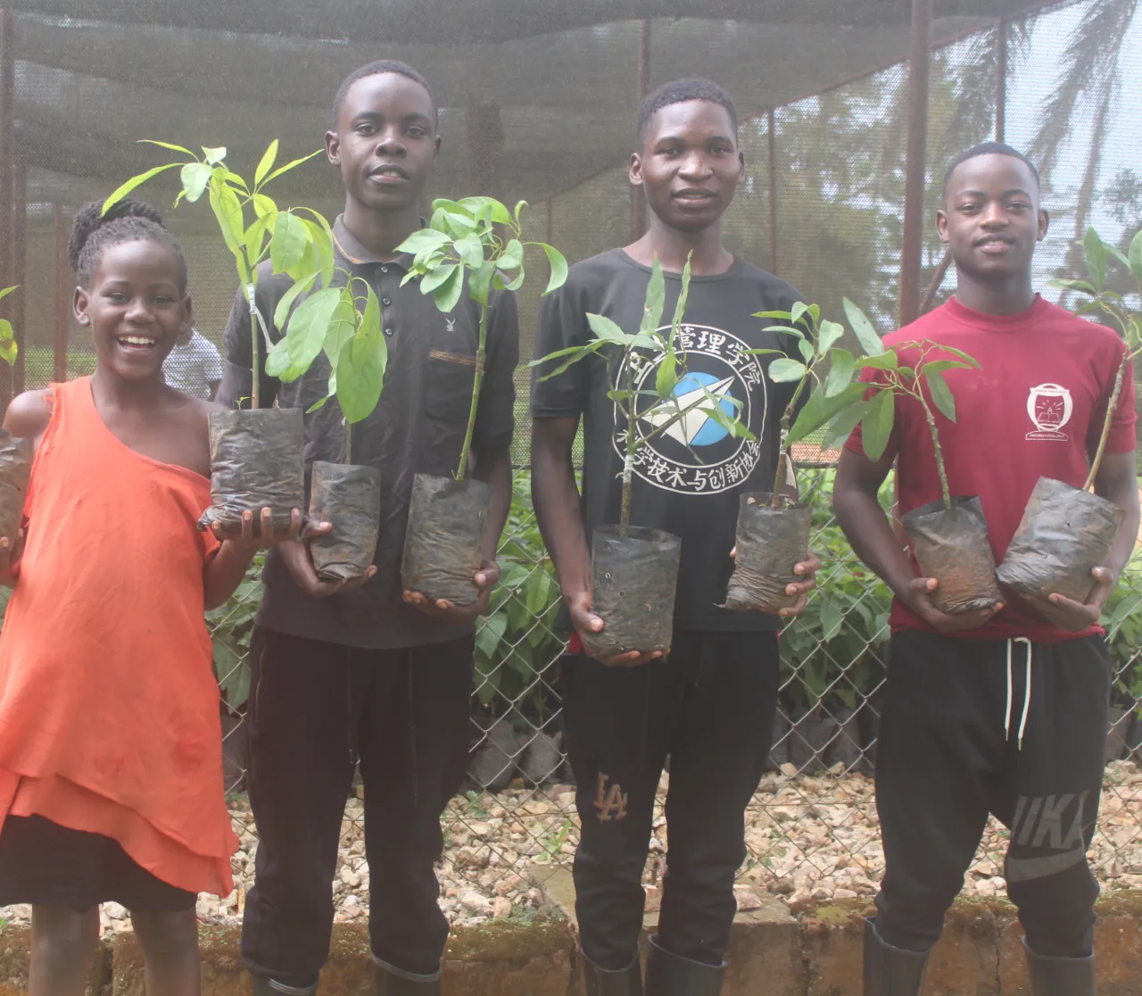 Fruit tree propagation for sustainable income amongst school-going youths in Uganda.